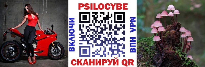 Галлюциногенные грибы мицелий Горячий Ключ